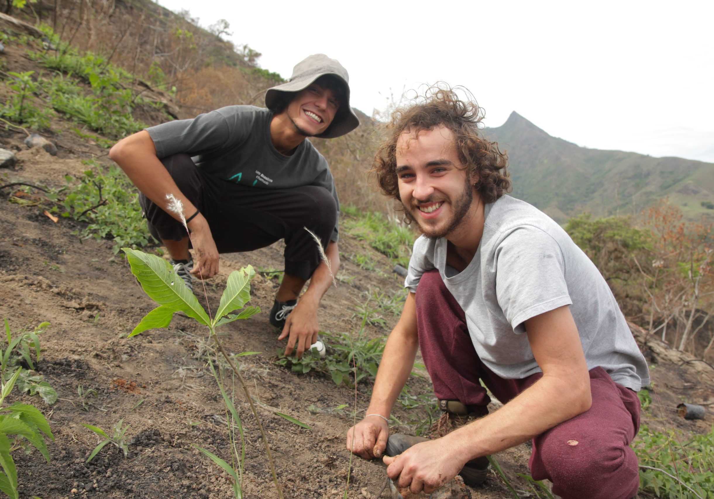 One Tree Planted037